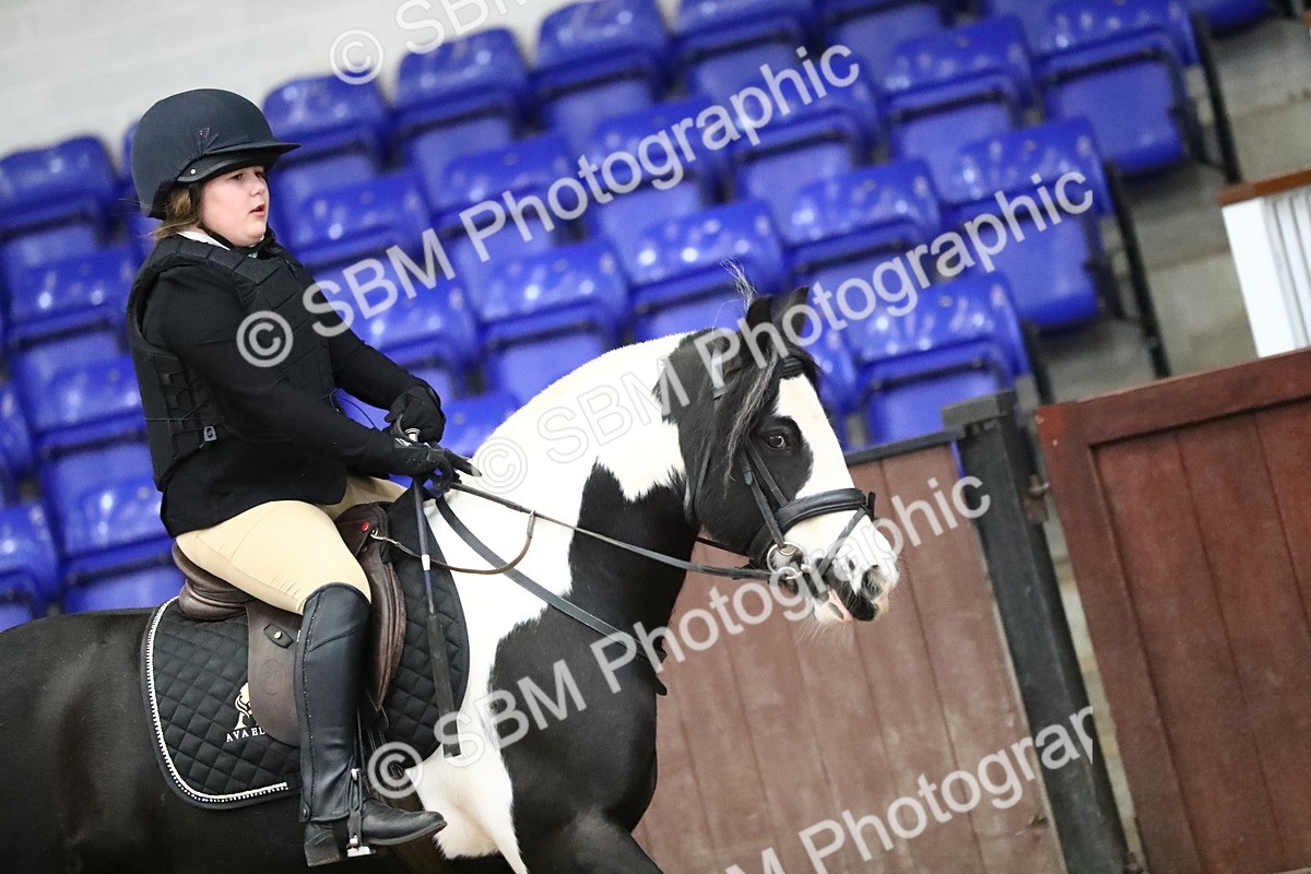 SBM_000494 - Class 2 - 40cm