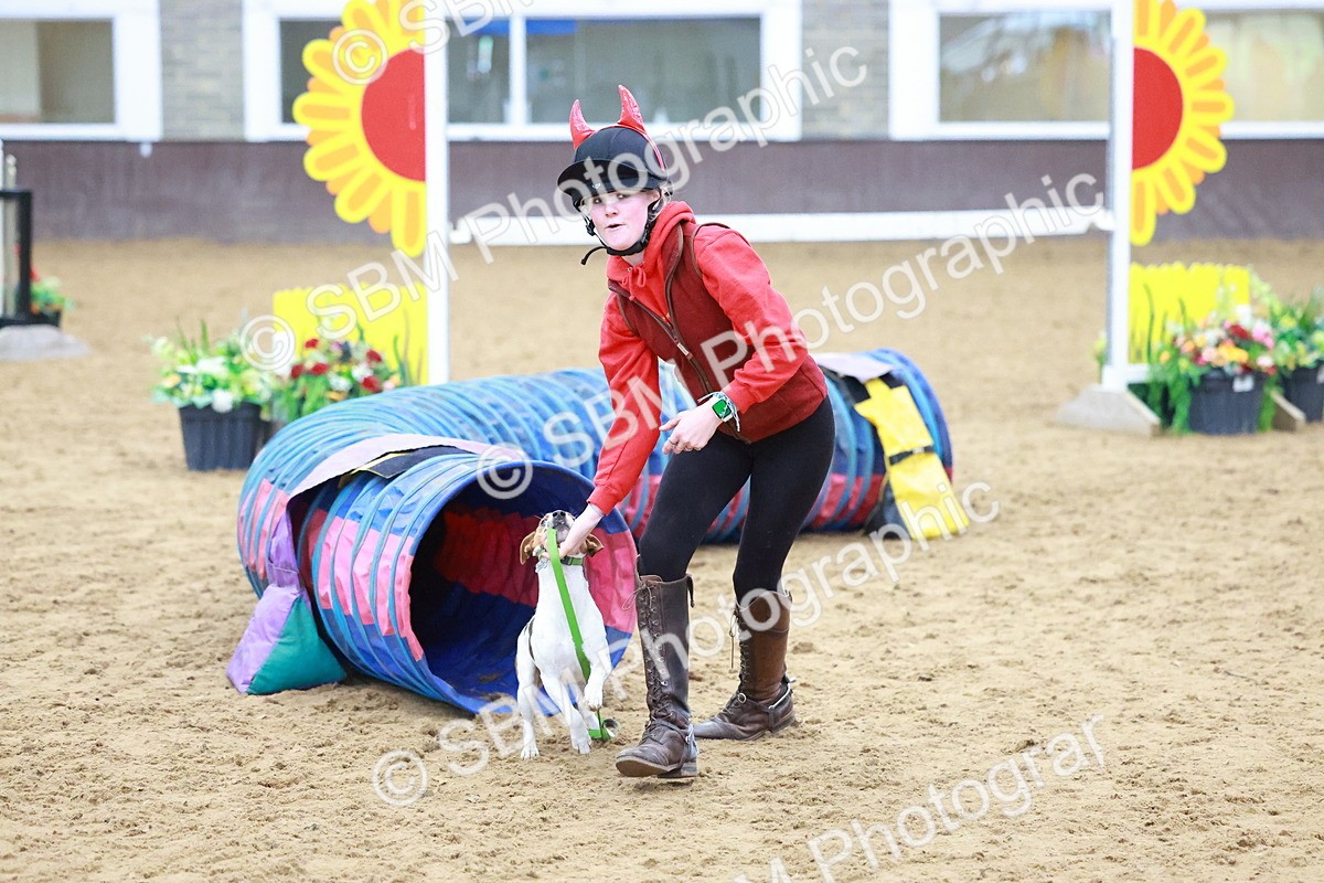 SBM_002117 - Class 3 - Horse & Hound (60cm)