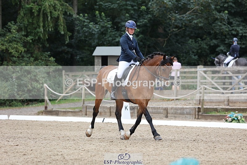 250718A-114323-00931 - 117-Alexandra.Northwood-Scurlagecastle.Gino