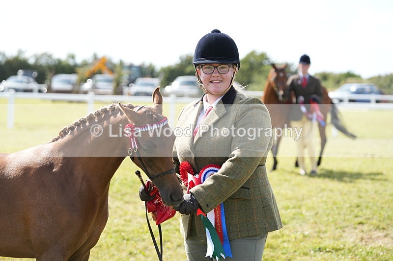 DSC07512 - Pony Breeding Championship