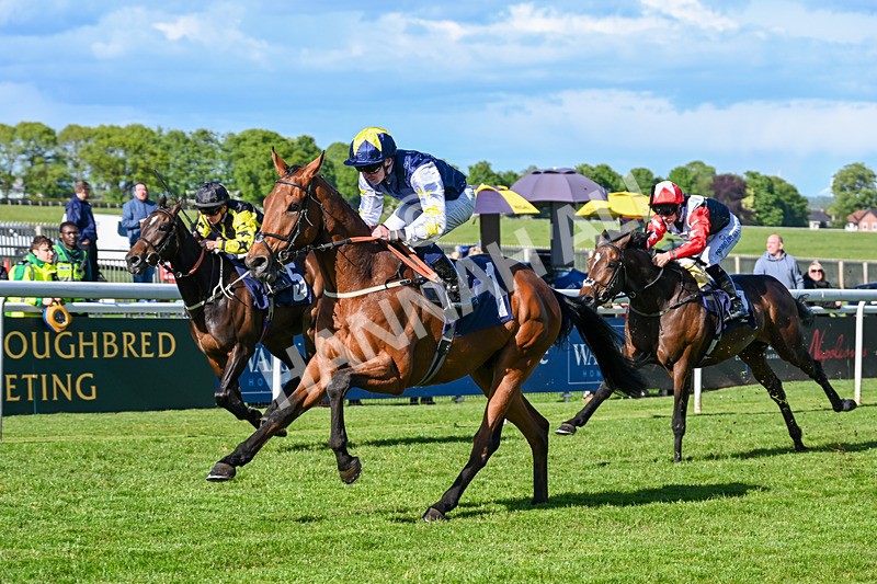 120526-Race 6-Ciao Capo-9235 - Race 6 5.10pm Racing Welfare Supporting Mental Health Handicap
