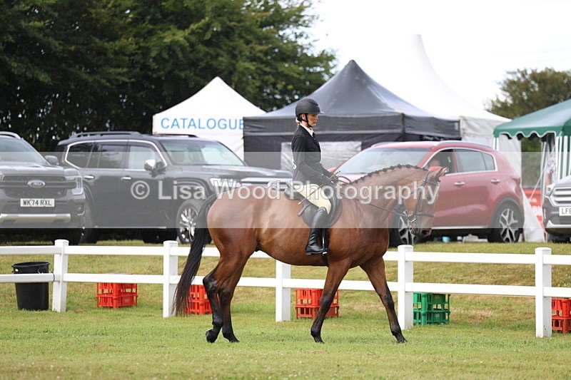 3E7A7974 - Class 2: Rising Star Large Hack/Riding Horse