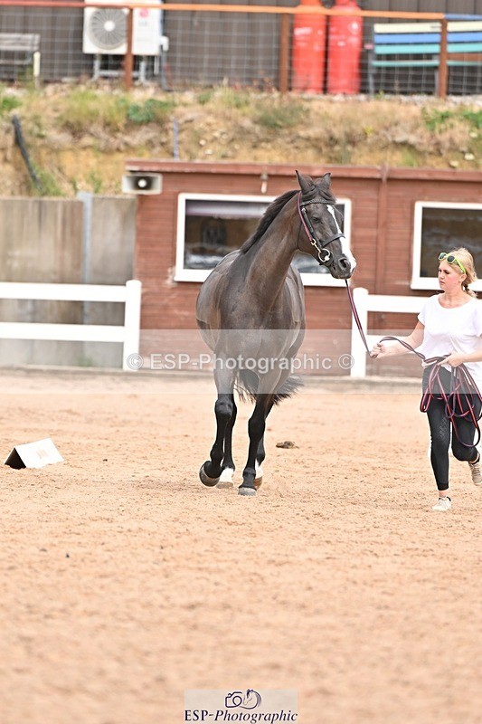 250716-153347-02011 - Trot Up 3.30 to 4.30