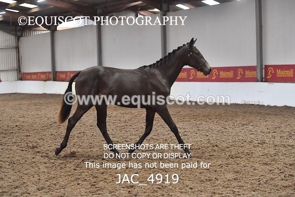 JAC_4919 - 4 River Dance, Take A Chance