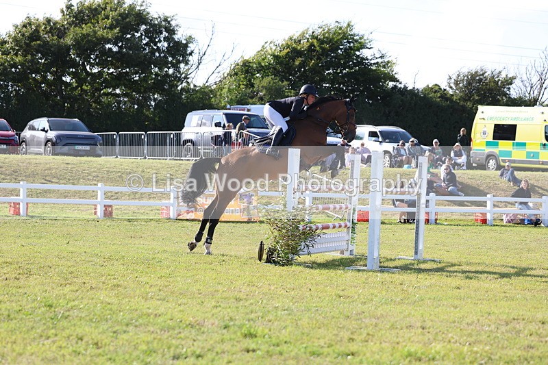 3E7A4303 - Class C: Showjumping Senior Foxhunter