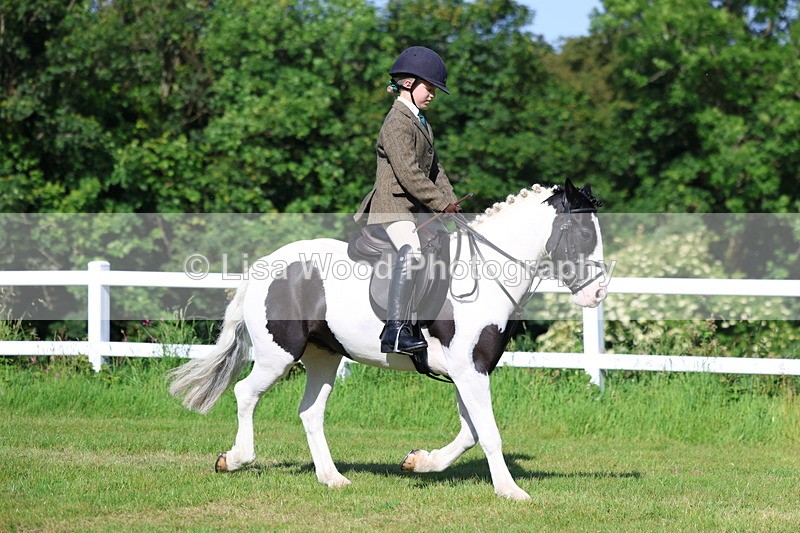 3E7A5955 - Class 27: Novice Working Hunter Pony