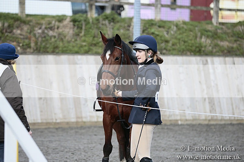 BVRC SJ 170319 62 - Bourne Valley Riding Club Showjumping 17/03/19