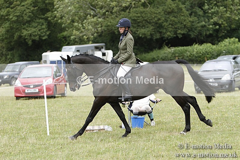 BVR160717-2234 - Ring 3 BVRC Show 16/07/17