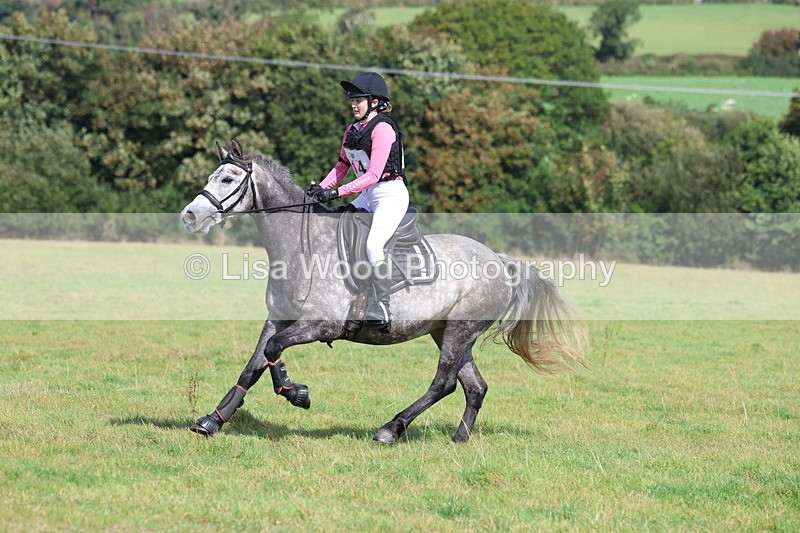 3E7A6622 - Class 1: Trebudannon Open: Pheasant Feeder