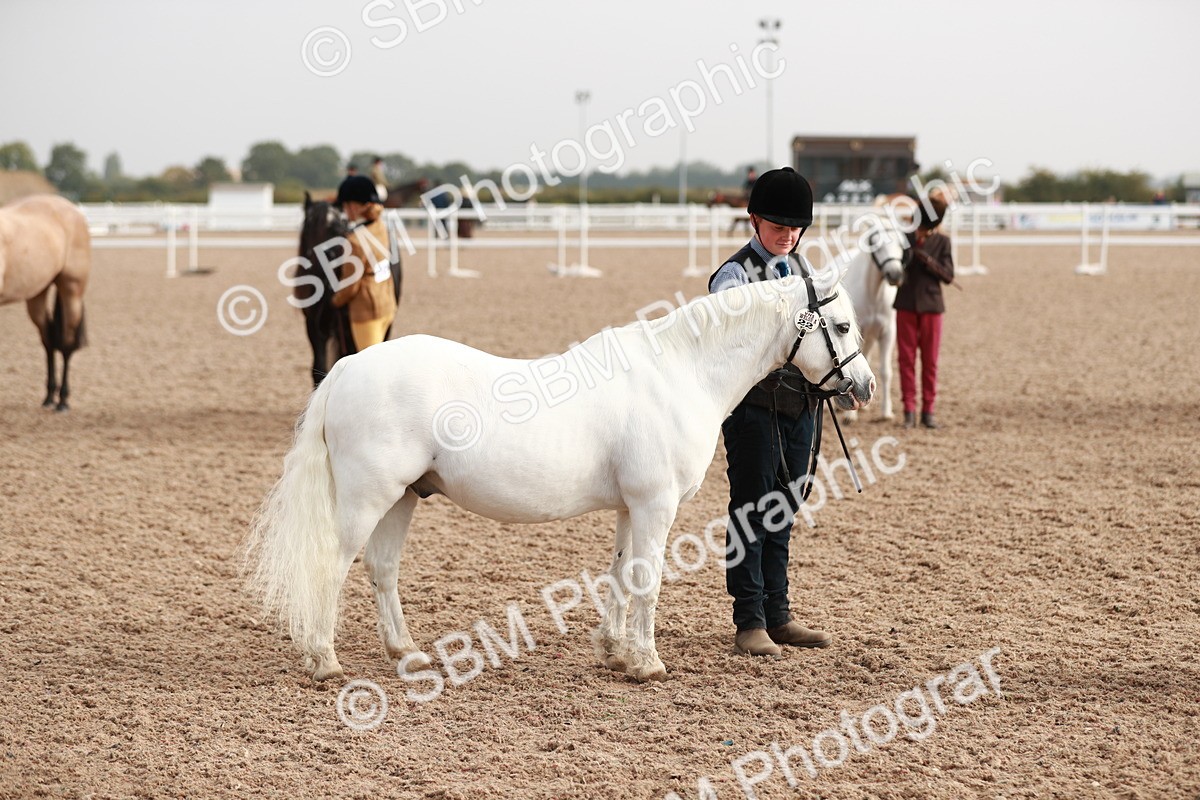 SBM_10553 - Class 204 Young Handler, 11-16 years