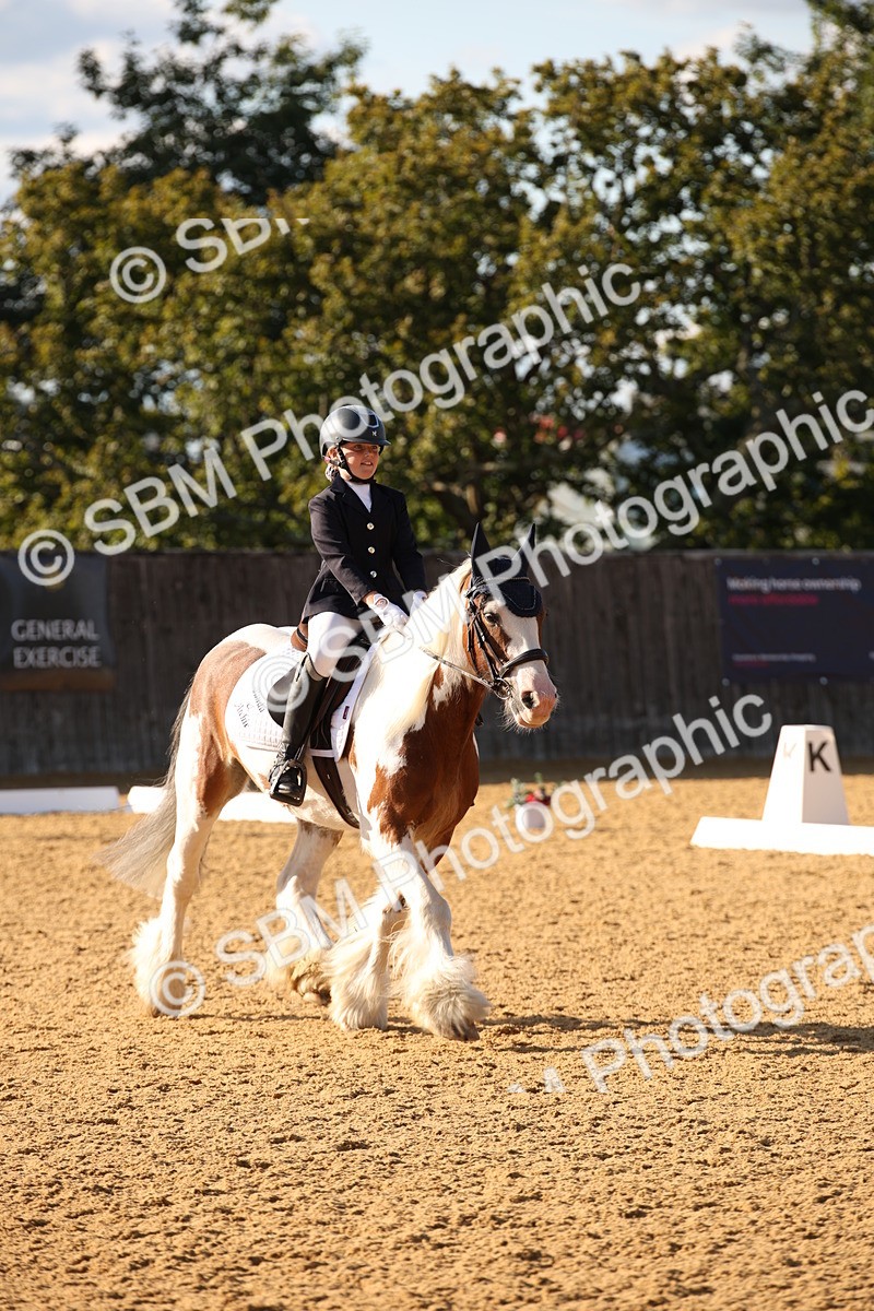 SBM_28320 - D11 - Small Tour Championship - Prelim 13