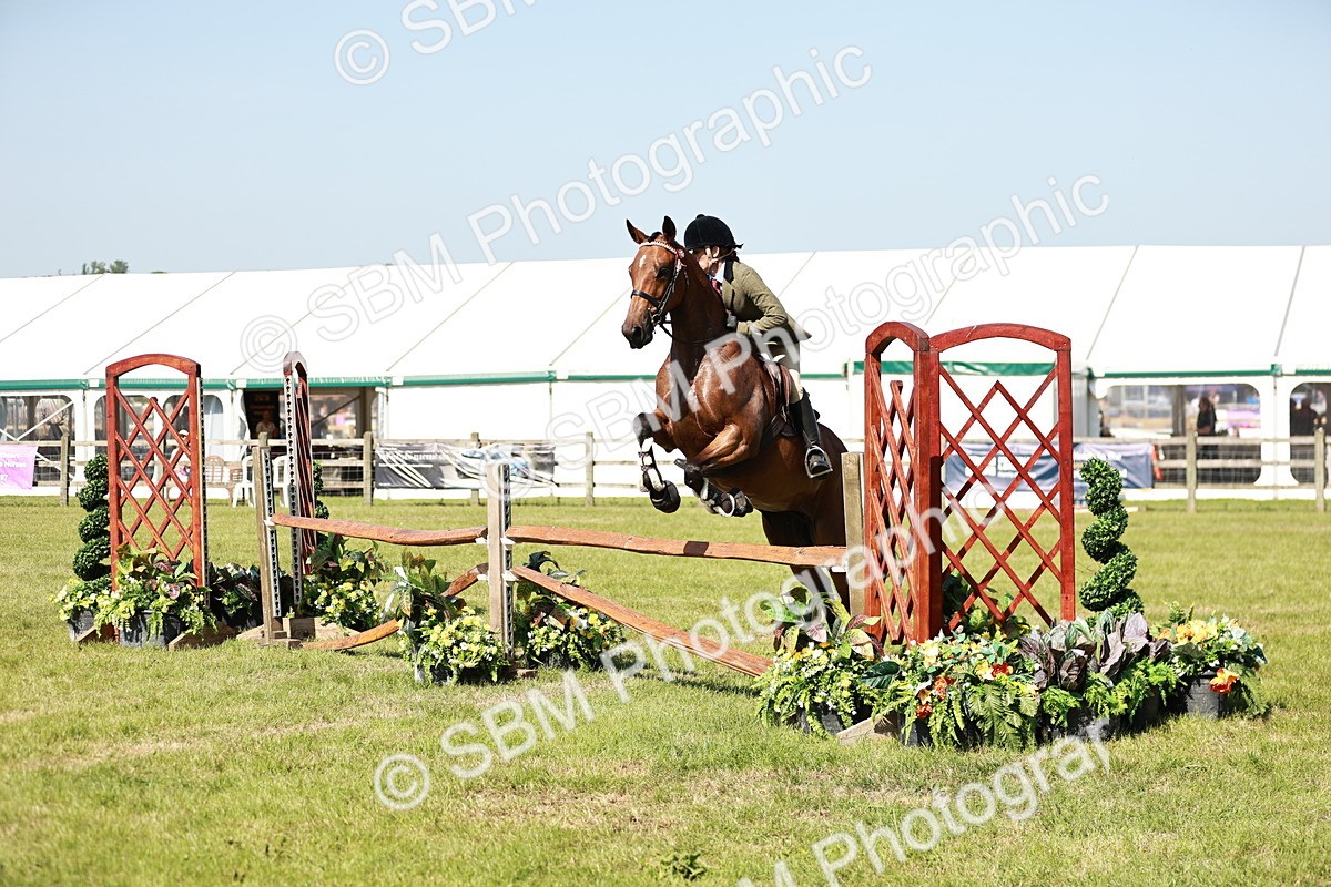 SBM_18836 - Class 114 - RIHS & SEIB Open Working Show Horse