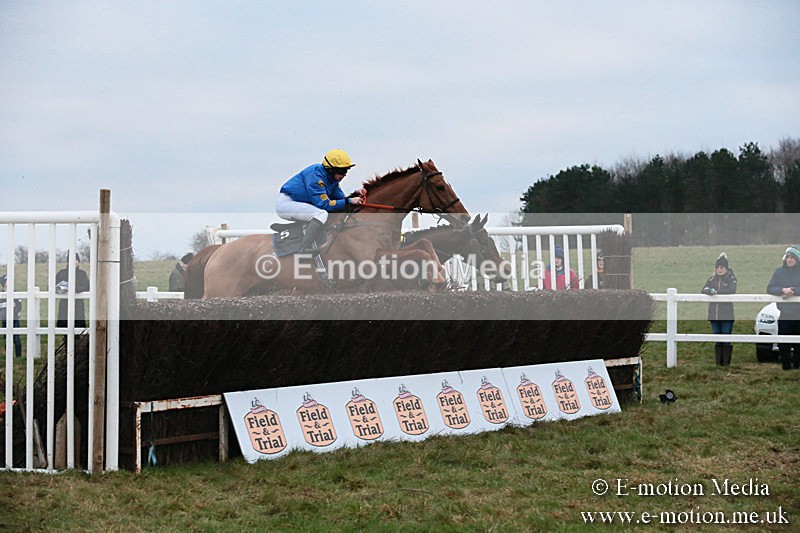 PtP 060119 591 - Larkhill Racing Club - Point-to-Point- 06/01/2019