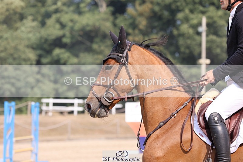 250816A-102012-00663 - Cls 3 Snr British Novice