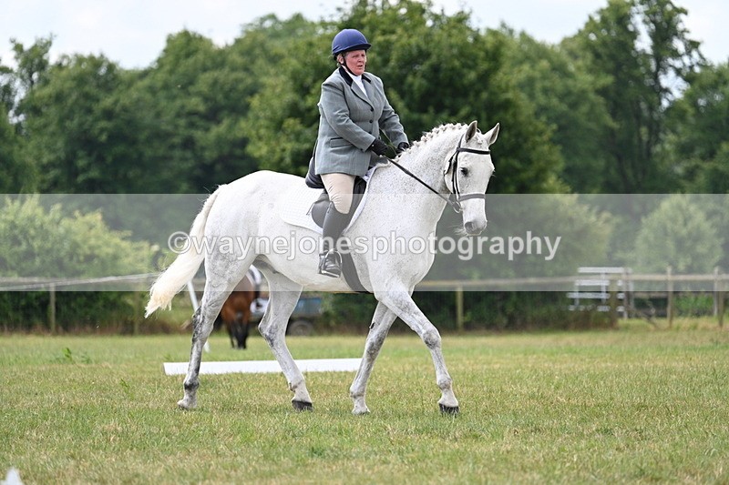 WJ7_5021 - Time 11:22 to 11:51