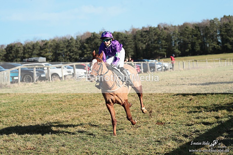 PR PtP 240126 362 - Pony Racing Horseheath 24/01/26