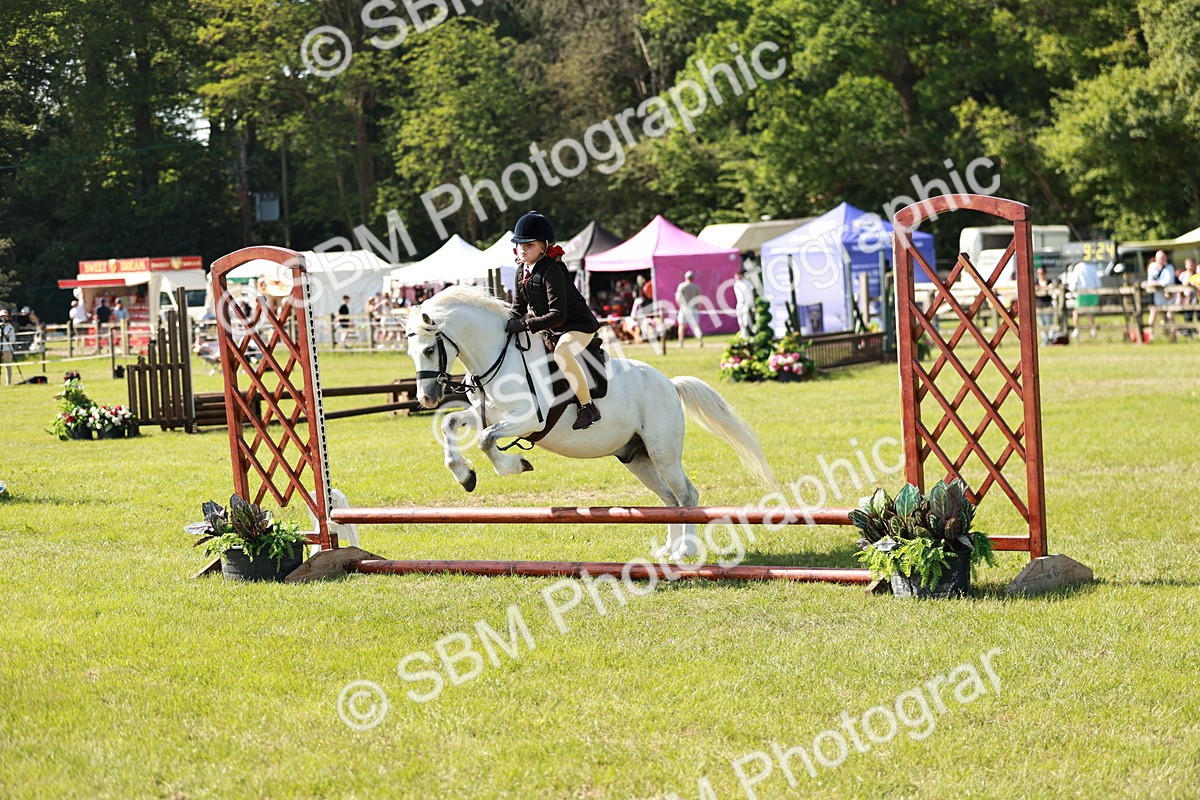 SBM_12626 - Class 106-107 - BSPS LIHS Working Sports Pony