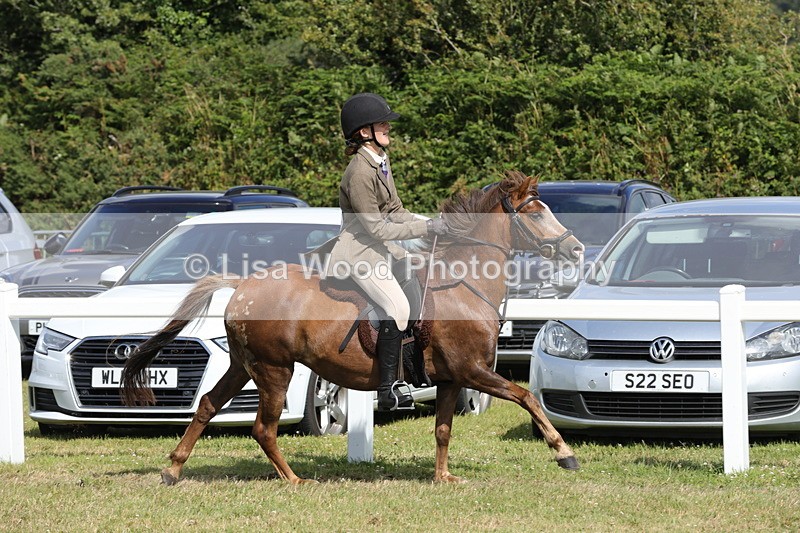 1X9A5696 - Class 40: NPS Welsh A & B