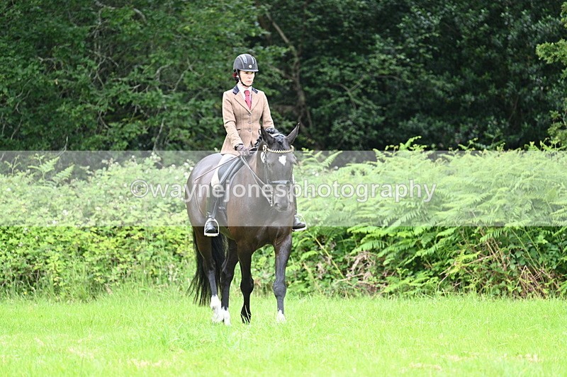 WJ7_3841 - Class 14A Handsome Gelding