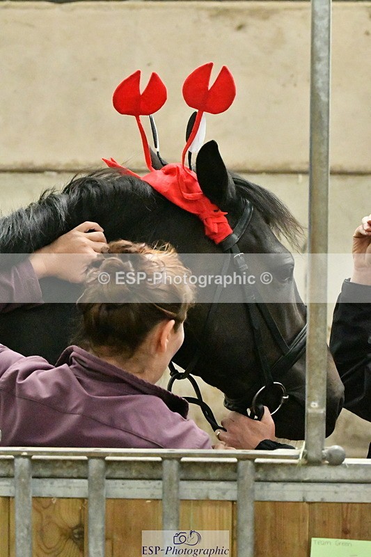 230804A-094324-01513 - Stable Shots