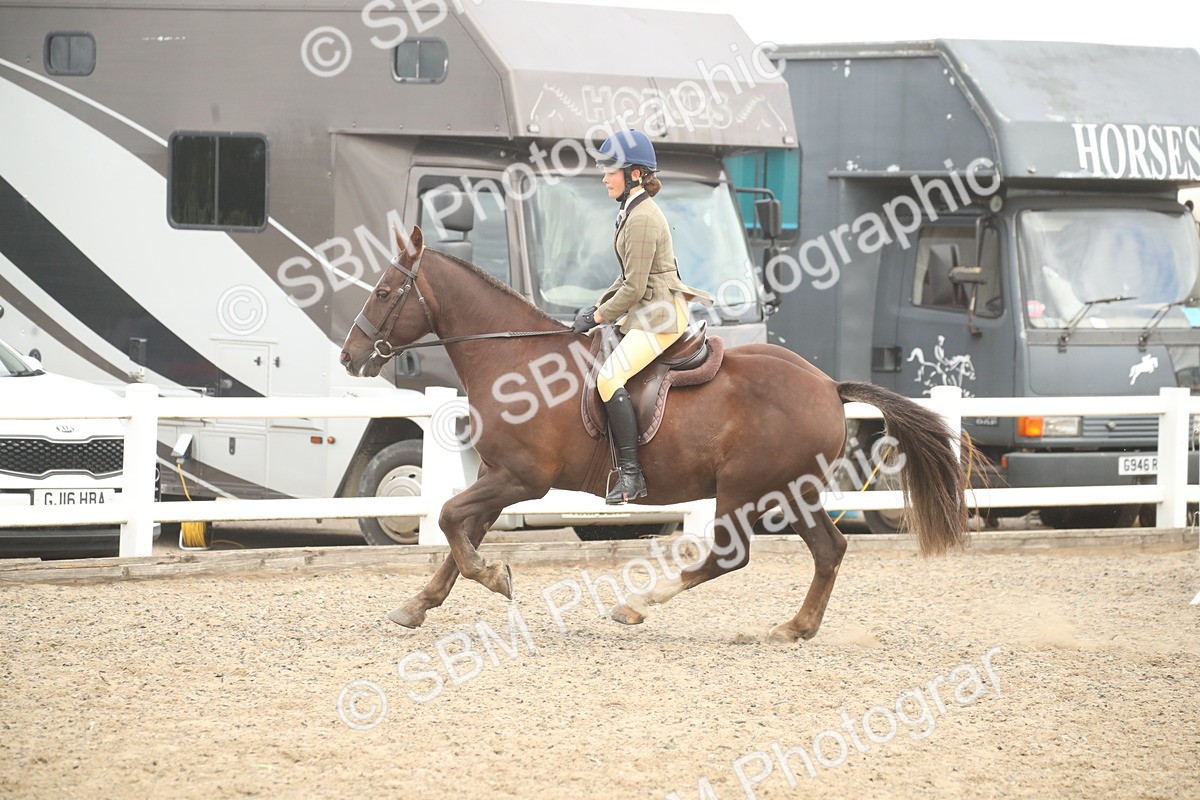 SBM_17892 - Class 508b - Working Veteran 70cm (20+)