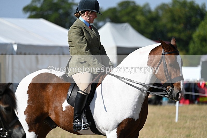 WJ7_2885 - Class 8 Ridden Tack & Turnout