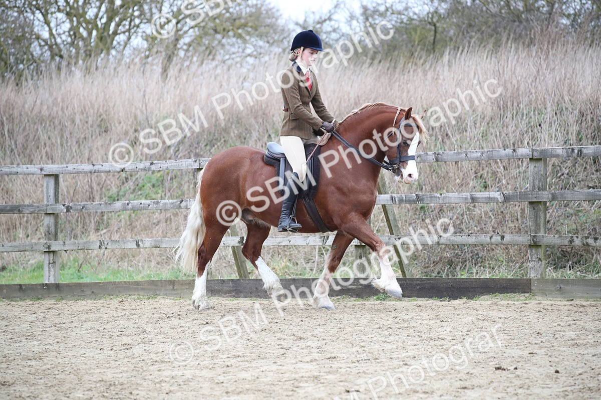 SBM_006304 - Class 10-13 - RIHS Small Large Breeds