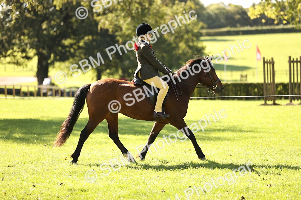 SBM_19111 - S3 - TSR Ridden Pony Showing