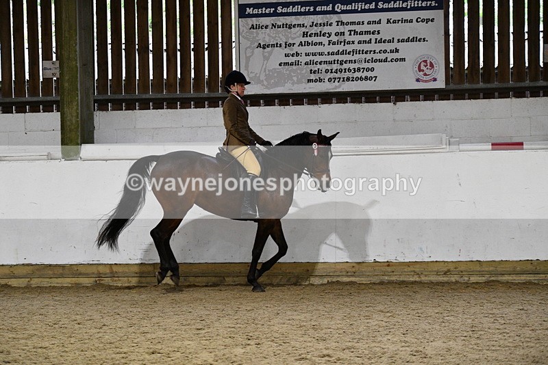 WJ5_8799 - Class 15 Ridden Show Horse