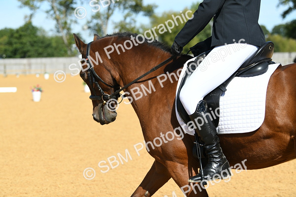 SBM_20731 - D13 - Grand Tour Championship - Prelim 12