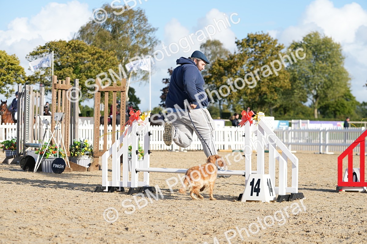 SBM_28989 - J43 - Horse & Hound Open 50cm