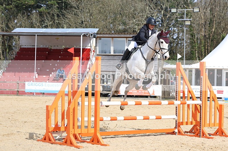 3E7A6673 - Class 4: Senior British Novice/90cm open