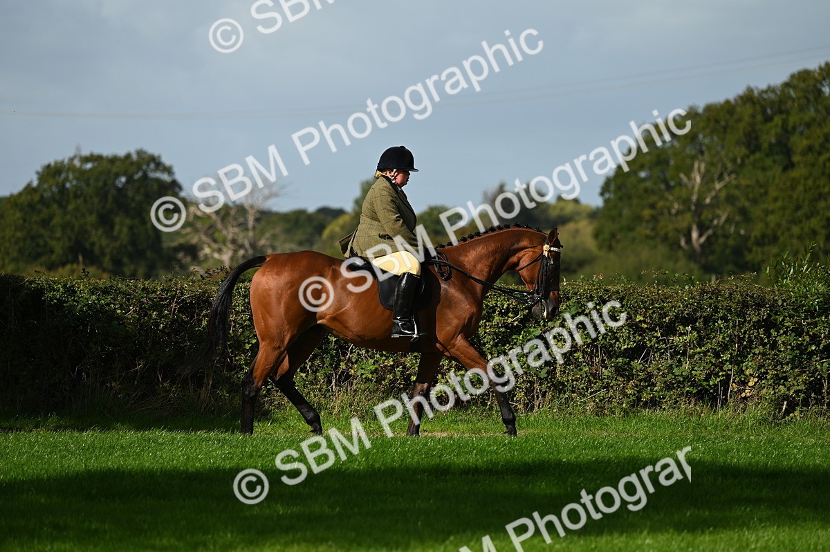 SBM_01324 - S2 - TSR Ridden Horse Showing