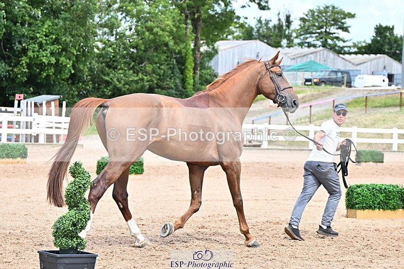 240718A-105321-01891 - Trot Up 1pm to 2pm