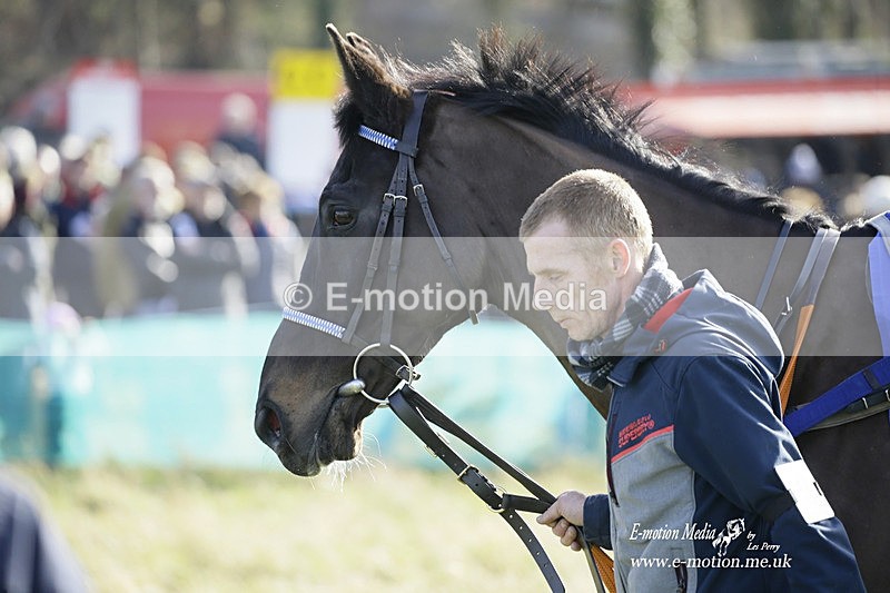 PtP 260222 537 - Kingston Blount Racing Club Point-to-Point 26/02/22