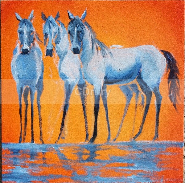 Greys SOLD - Archived