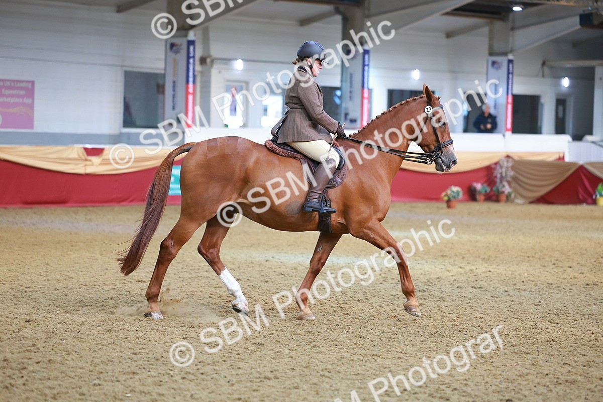 SBM_09493 - Class 102 - HOYS Veteran Qualifier - Ridden Veteran