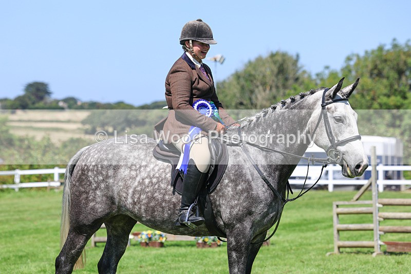 3E7A9322 - Working Hunter Championship