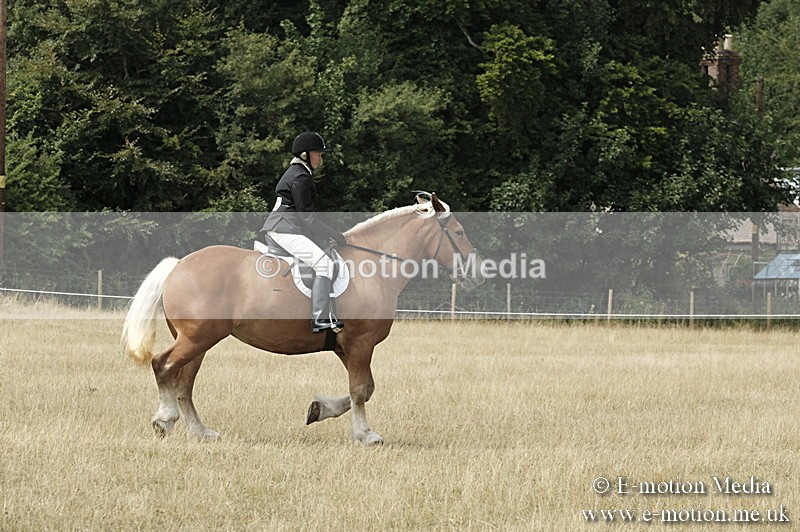 _PJP6054 - BVRC Show 2018 Ring 1