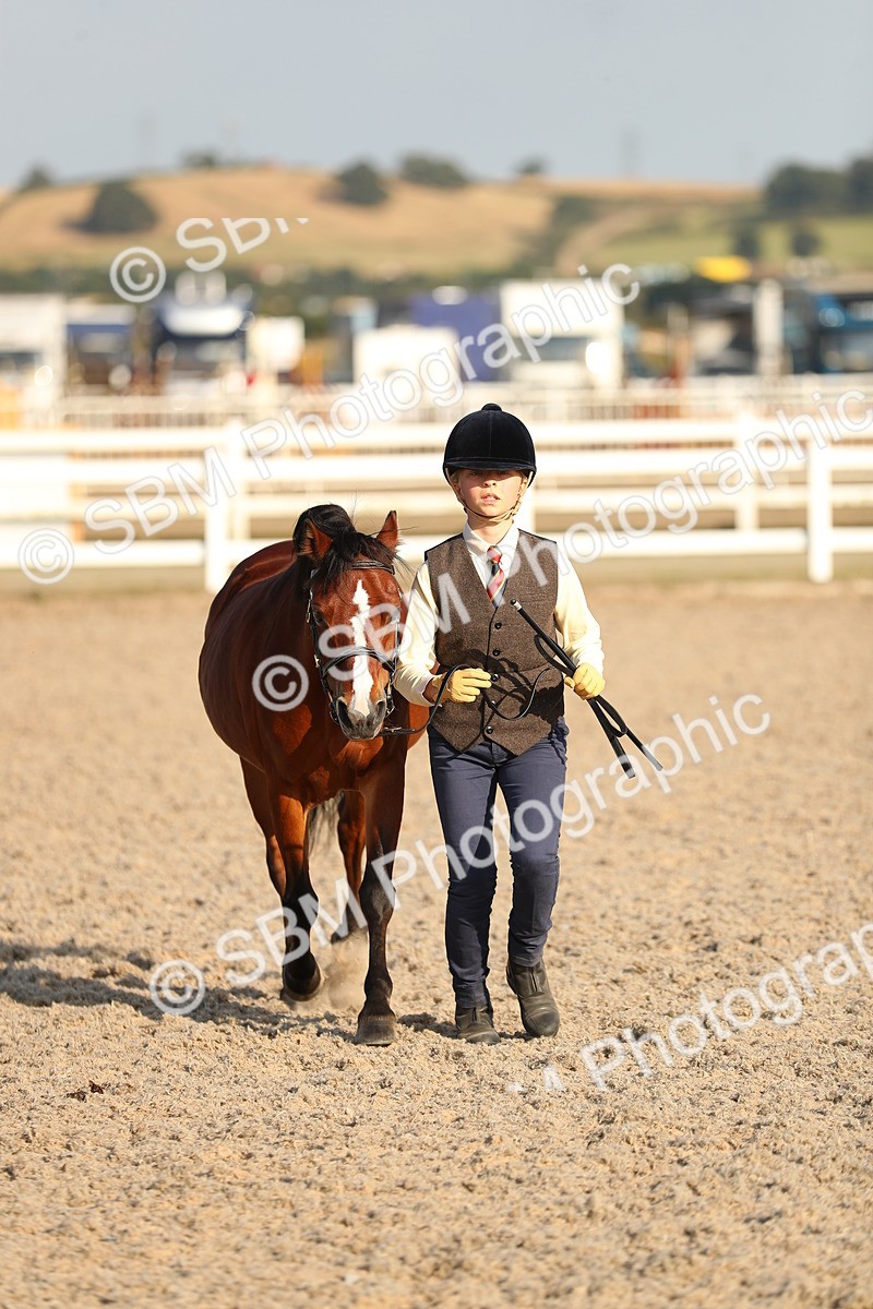 SBM_08992 - Class 29 IH Veteran Pony