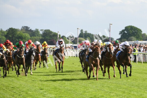 yr21052022r7-21 - Race 7: 5:15pm Reg Bond Always and Forever Stakes