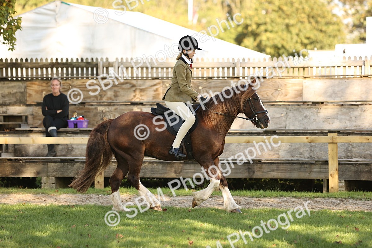 SBM_29395 - S7 - Novice & Newcomers Ridden Pony