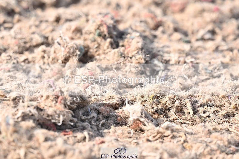 250621-174109-12385 - Cls 36 - Adv Medium 6