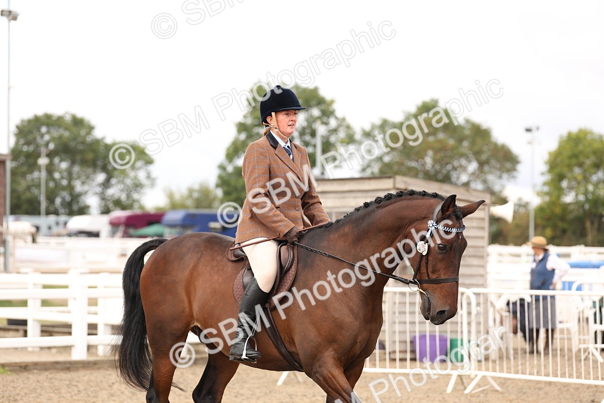 SBM_02868 - Class 53 - Ridden Competition Horse/Pony