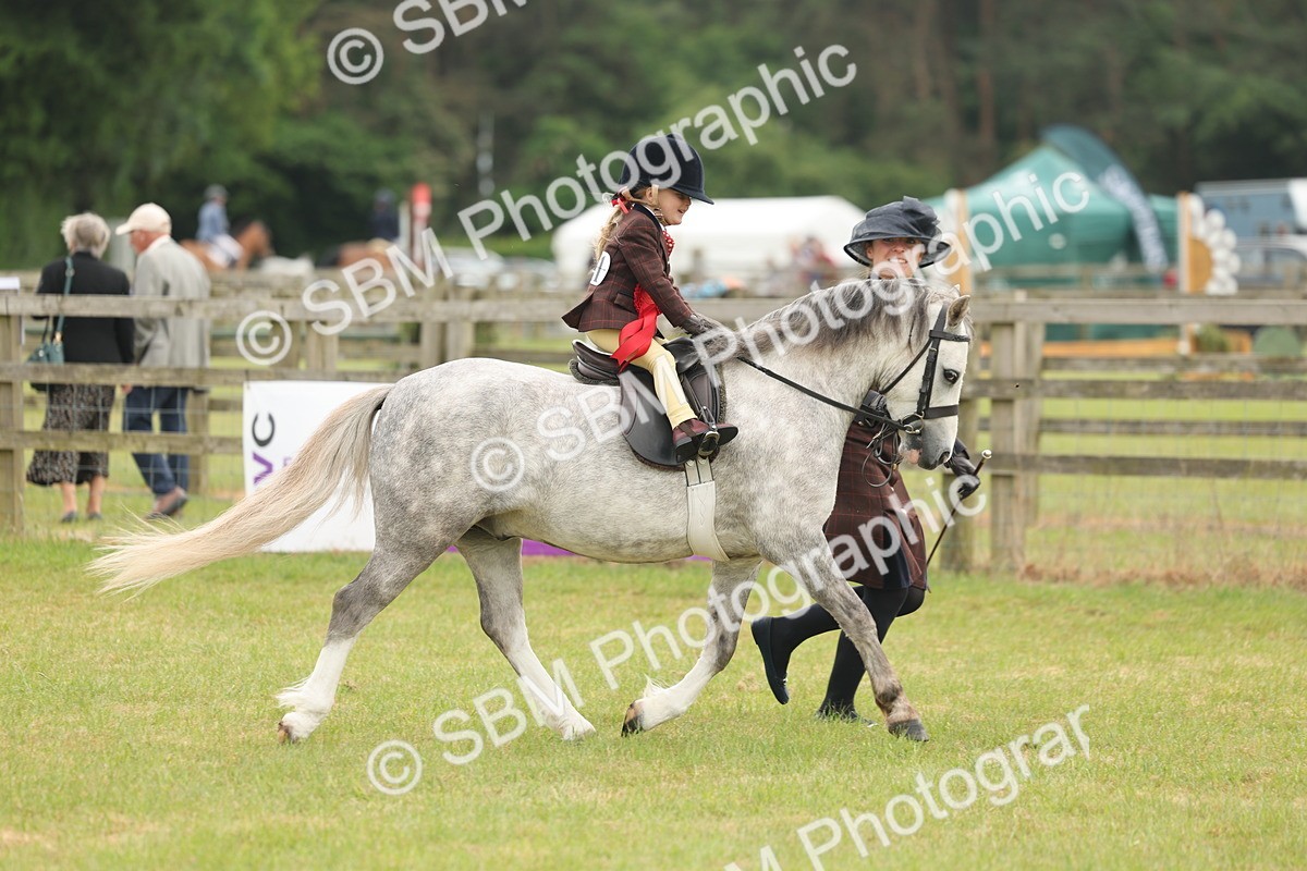 SBM_06933 - Class 74-75 - M&M Lead Rein and First Ridden Pony