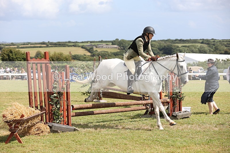 JPP_2089 - Class 19: Working Hunter 60cm