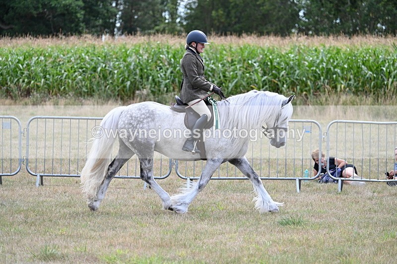 WJ7_5582 - Class 12 Ridden Cob