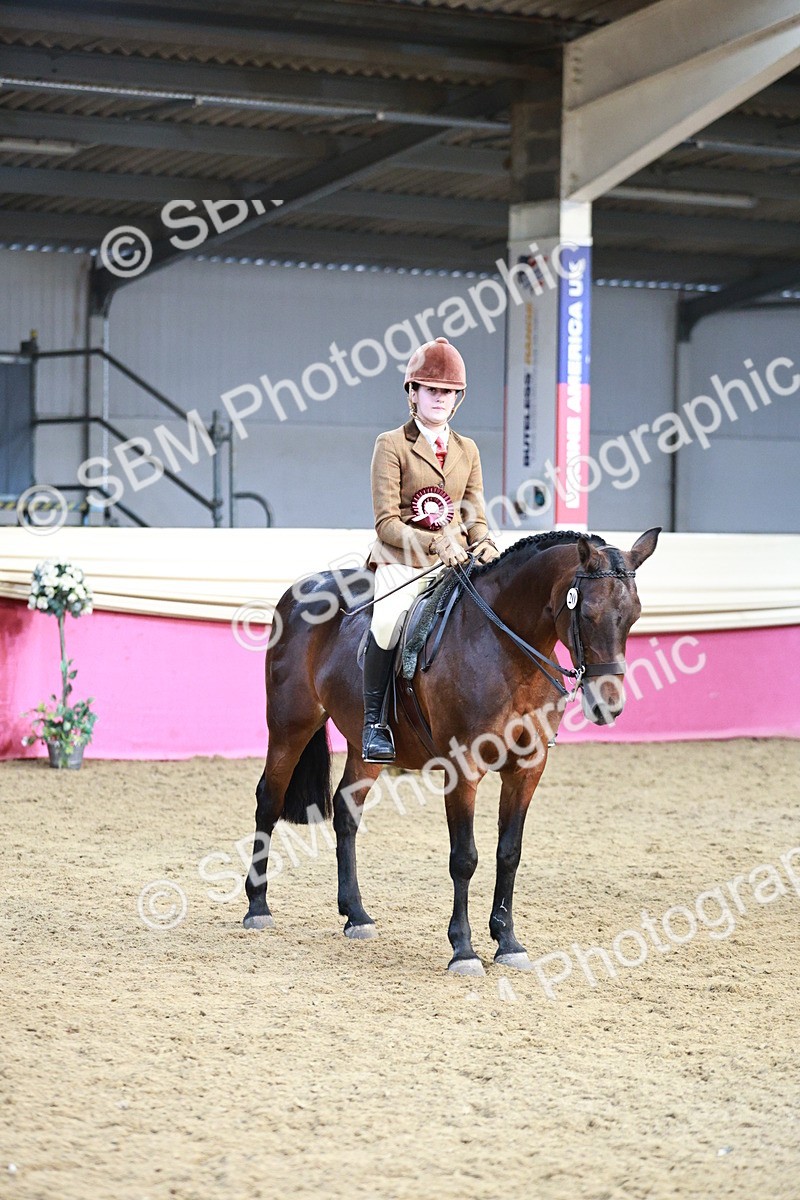 SBM_08687 - Regional Ridden Champ