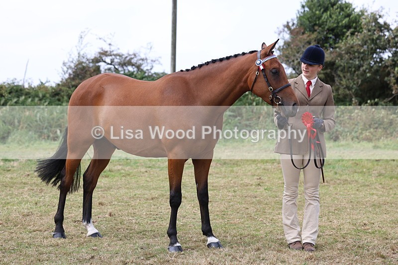 3E7A5617 - Class 20: Sports Horse In Hand