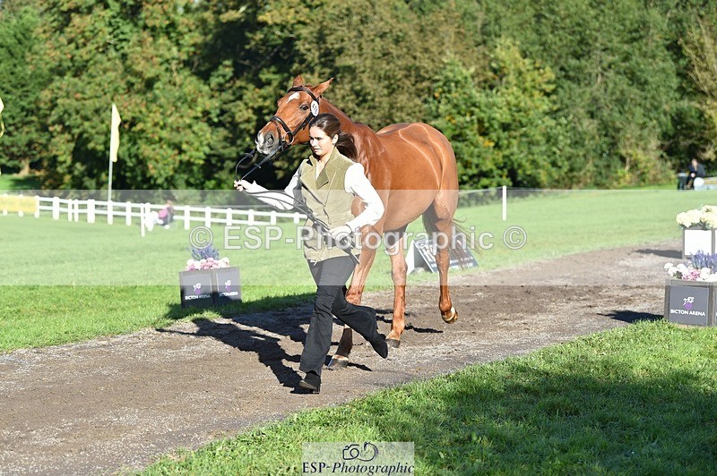 231022-103726-22623 - 476-MONARTS.MASTERCLASS-Laura.Bostock-TrotUp+SJ